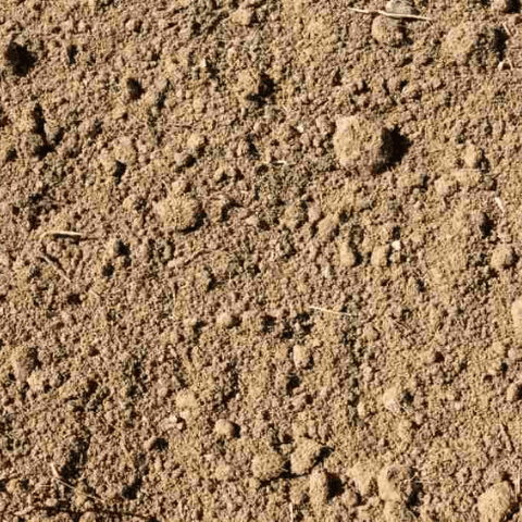 Zandgrond