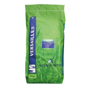 Advanta Versailles graszaad voor gazonaanleg