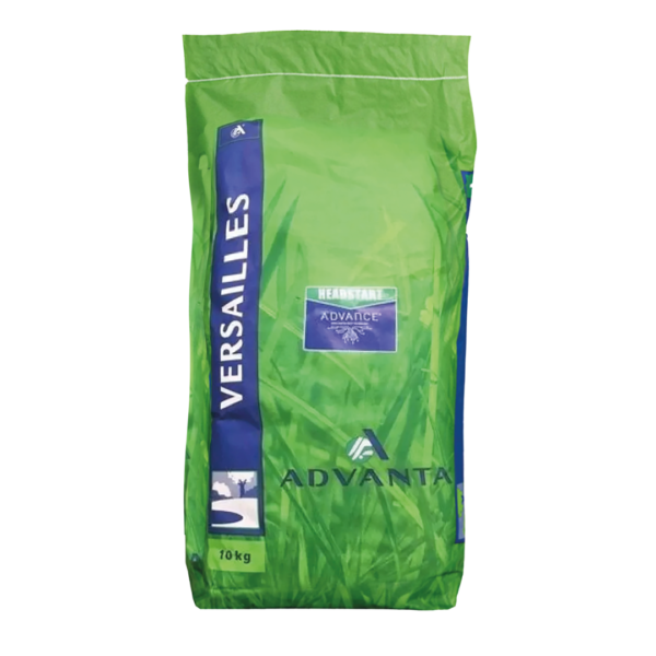 Advanta Versailles graszaad voor gazonaanleg