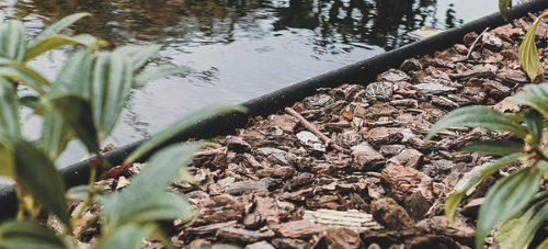 Boomschors bodembedekking vijver