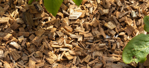 Houtsnippers bodembedekking