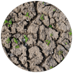 Gravelizer halfverharding project voordeel