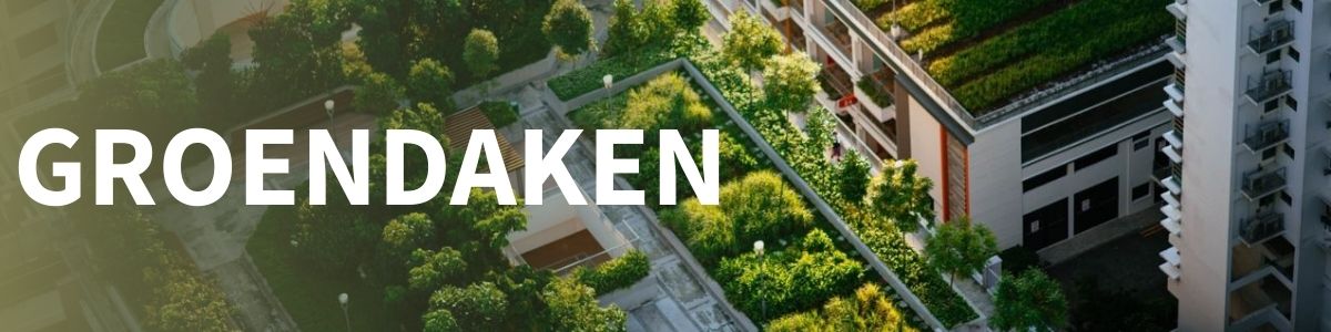 Groendak project
