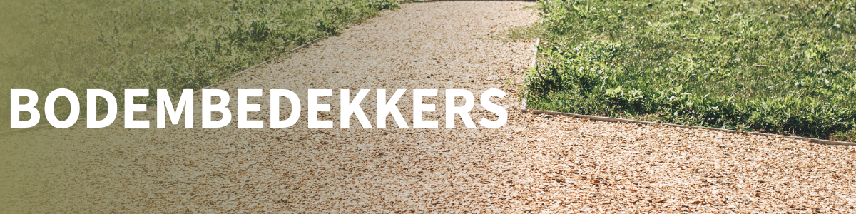 Bodembedekking schelpen