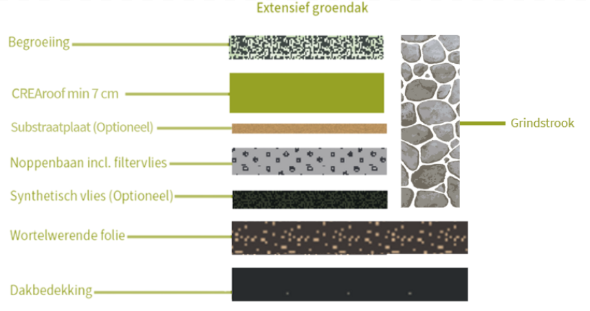 Schema extensief groendak