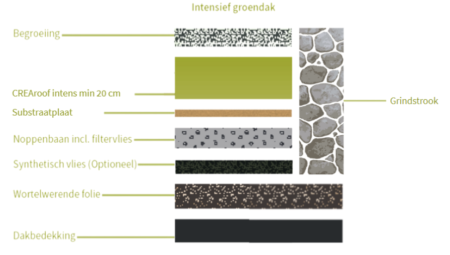 Schema intensief groendak