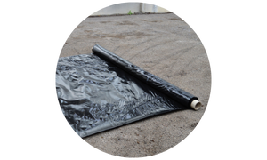 Wortelvaste folie voor groendak