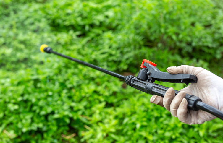 fytolicentie opleiding