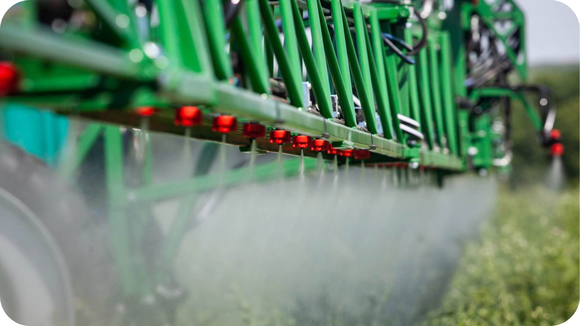 Fytolicentie platteland