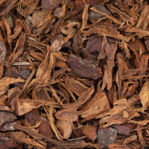 Pinus Maritima 25/35