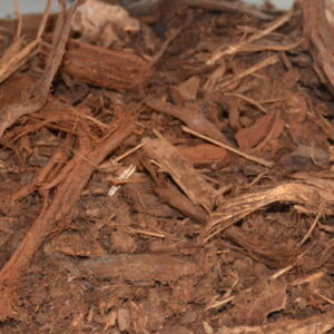 Pinus Sylvestris 0/40