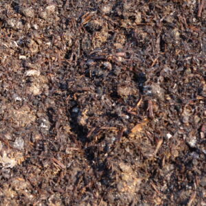 SOLchamp - afgeoogste champignoncompost