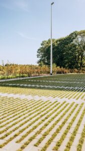 Grasparking realisatie roeselare