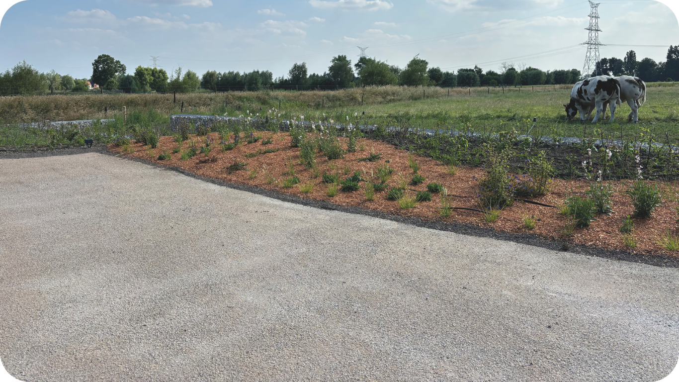 Gravelizer halfverharding opleiding