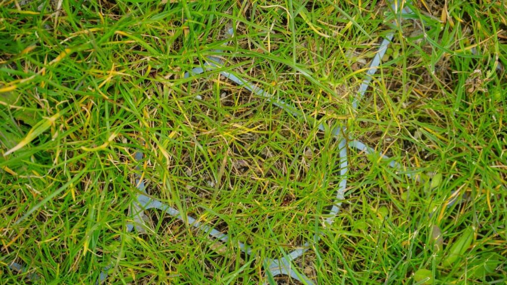 grasparking realisatie vlissegem grastegels