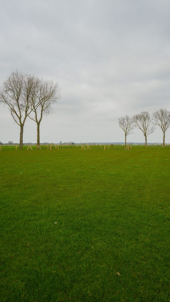 grasparking grastegels vlissegem