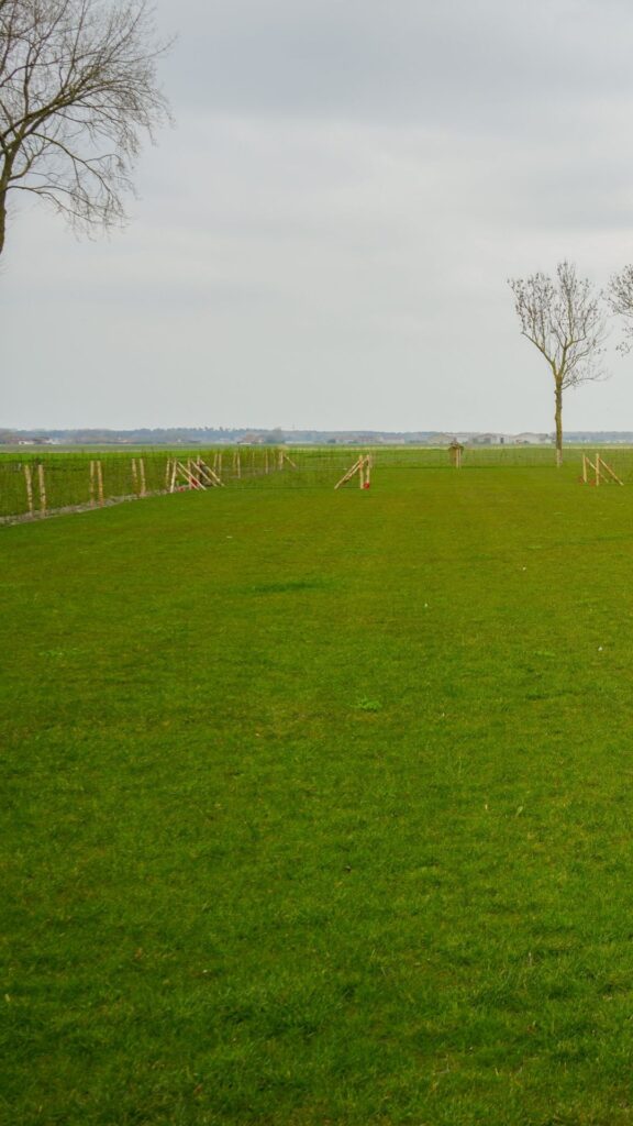 grasparking grastegels vlissegem