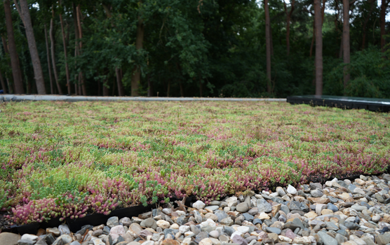 Opleiding groendaken