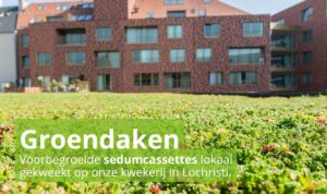 groendaken. Ontdek onze voorbegroeide sedumcassettes lokaal gekweekt op onze kwekerij in Lochristi. Groendak met rood appartementsgebouw in de achtergrond.