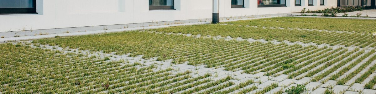 Aangelegd groendak met sedumbeplanting