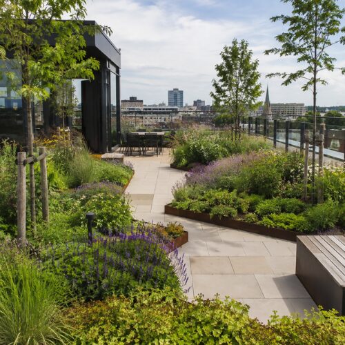 Intensief groendak — beloopbare daktuin met gazon en beplanting